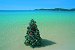 Whitsundays - Ocean
