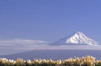 Mount Taranaki © Copyright Fay Looney Photographer